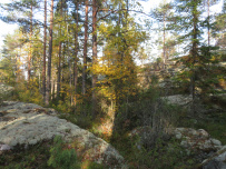 Крыша Ладоги