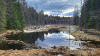 ВелоВалдай налегке