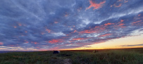 Аметистовый берег Белого моря