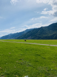 Сплав по реке Катунь