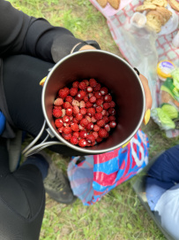 Шёпот мещёрских лесов да гладь озёр