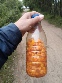 Соловецкие острова на морских каяках