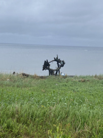 Летний берег Белого моря: Онежское Поморье