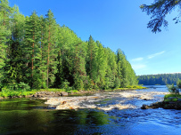 Сплав по реке Шуя