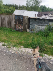 Пеший поход с ночёвкой «Кашира: выходные на природе»