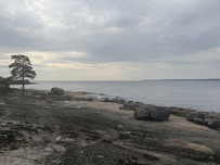 Далекий финский берег