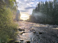 Сплав по реке Суна на байдарках