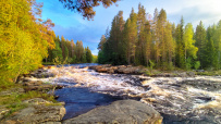 Сплав по реке Шуя Беломорская