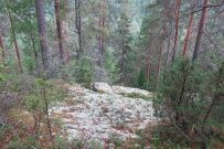 Пётсёваара - царство горных троллей