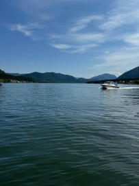 Всё и сразу на Алтае