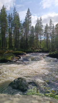 Сплав по реке Пистайоки (Писта)