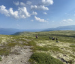 В сердце Кольских гор на морских каяках: Умбозеро, Хибины и Ловозерье