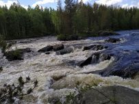Сплав по реке Кереть и Белое море