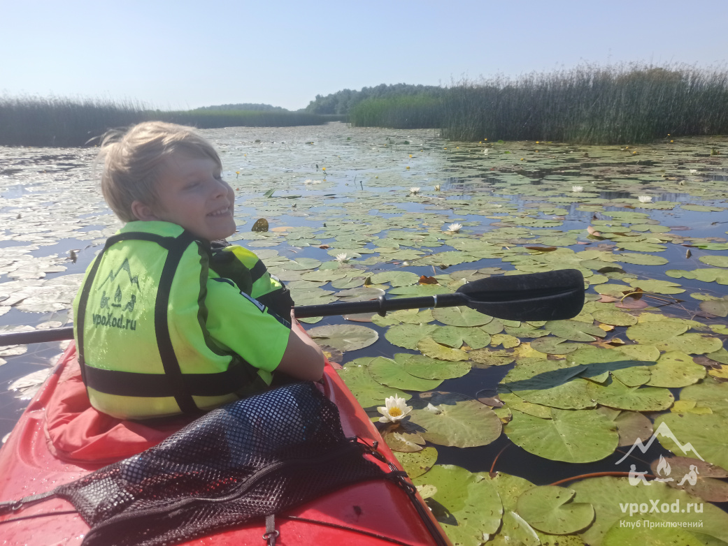 Прогулка вокруг парка Монрепо на каяках (байдарках)