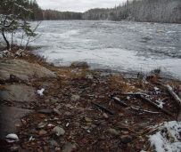 Сплав по реке Шуя на майские