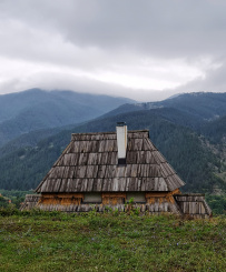 Великий горный край: природа западной Сербии (треккинг-тур в национальный парк Тара)