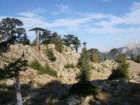 По Ликийской тропе через горы к морю (классический пеший поход)