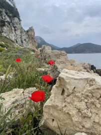 Карийская тропа