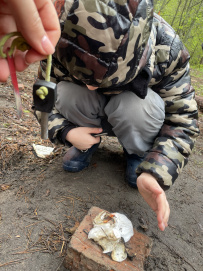 Детский поход «Посвящение в туристы»