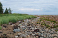 Соловецкие Острова в Белом Море (экскурсии + поход)