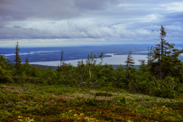 Колвица на морских каяках (байдарках). Путешествие на землю Саамов