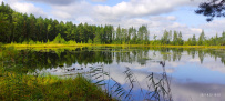 Велопоход из Покрова в Куровское