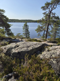 Сплав по реке Кереть и Белое море