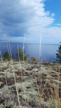 По шхерам Ладоги на байдарках (с трансфером)