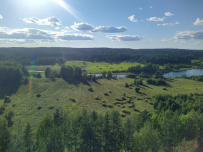 Крыша Ладоги