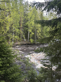 Сплав по реке Суна на байдарках