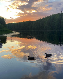 Сплав по реке Шуя
