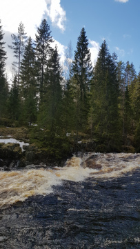 На байдарках: сплав по реке Янис (Янисйоки)