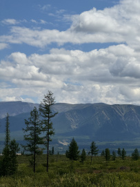 Горный лагерь в Актру (проживание в домиках)