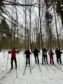 Снежный лес: однодневный лыжный поход