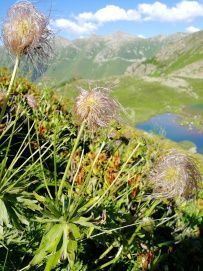 По горам Архыза: вдоль Главного Кавказского Хребта 