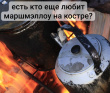 Гора-крепость Линнавуори