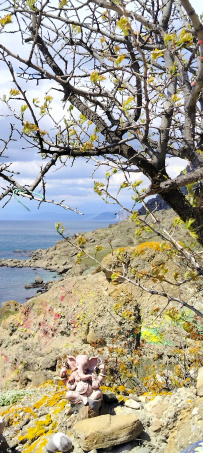 Большая Крымская Тропа: Поход по нагорьям Южного Берега