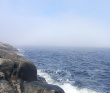 Сплав по реке Кереть и Белое море
