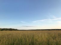 Сплав по реке Киржач на байдарках с баней на берегу
