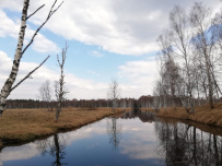 Пеший поход «Лесное путешествие» (Подмосковье)