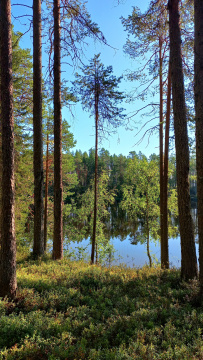 Сплав по реке Пистайоки (Писта)