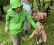 Горный лагерь в Мезмае [Кавказ]