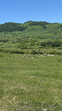 Целебный горный лагерь на Кавказе