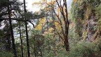 Знакомство с Непалом. Великая Аннапурна и затерянное королевство