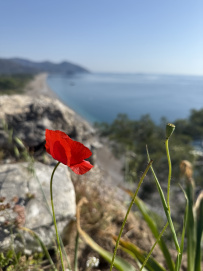 В Сердце Ликийской тропы (Поход вдоль моря, без рюкзаков)