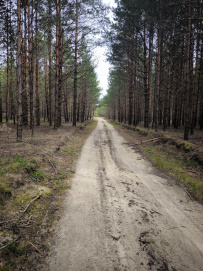 Пеший поход «В долину семи озёр»