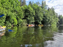 Оредеж — прогулка на байдарках (1 день)