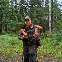 Гранатовые копи Карелии