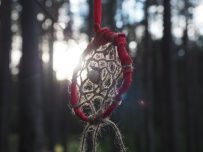 Ладожские шхеры: дети и нерпы