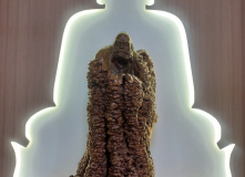 Китай, Где рождались легенды Поднебесной: Терракотовая армия, Лоян, Шаолинь (разведка)